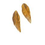 Σκουλαρίκια Spring leaf